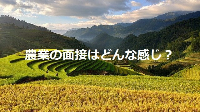 山間部の農地