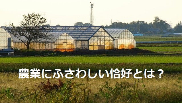 さまざまな形のビニールハウス