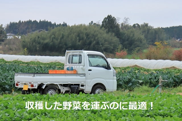 収穫した野菜を運ぶ車